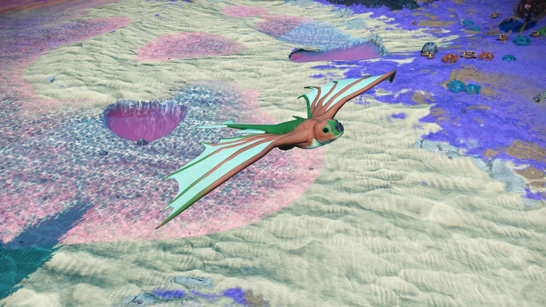 O. Scoopheyroe in habitat at Serene Basin