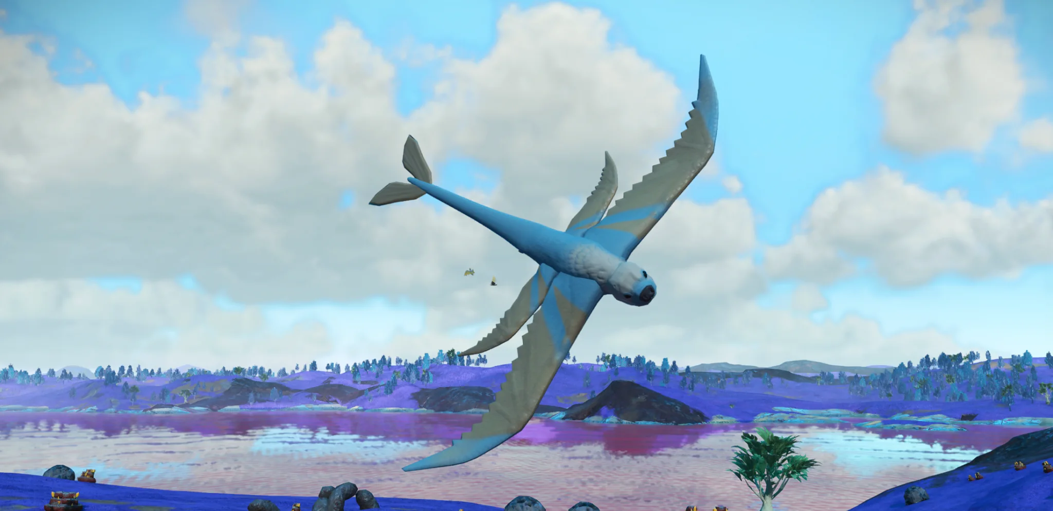 U. Scroffirus in habitat at Serene Basin