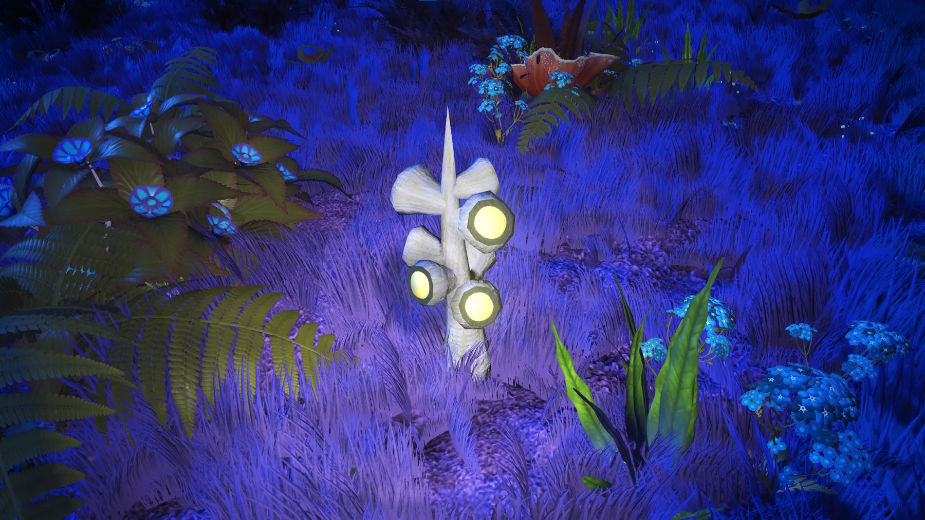 V. Snadojecus in habitat at Serene Basin