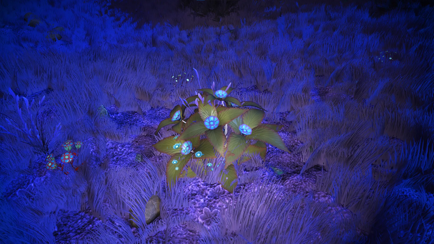 Z. Sakyteoe in habitat at Serene Basin