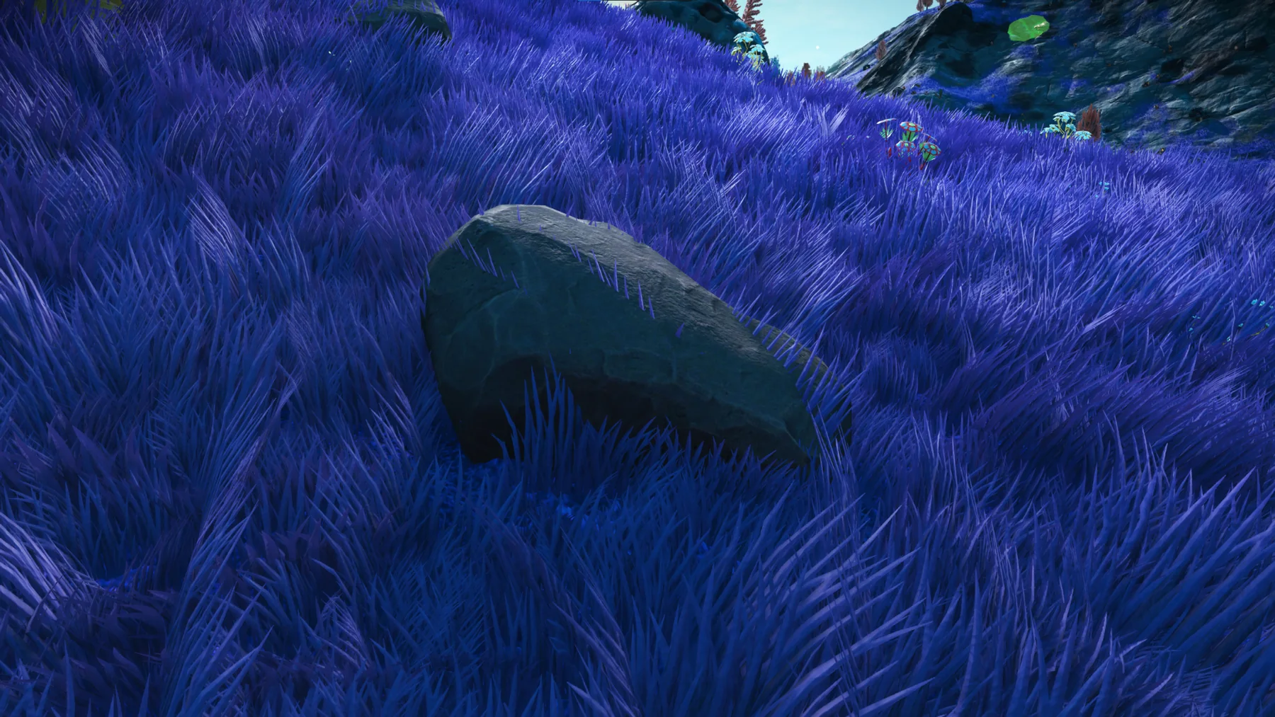 Immonite in situ at Serene Basin