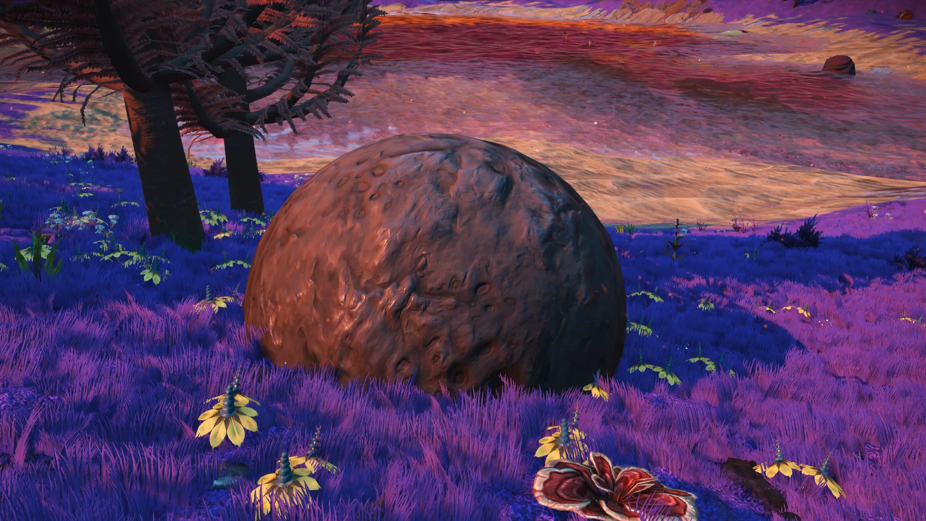 Lematibe in situ at Serene Basin