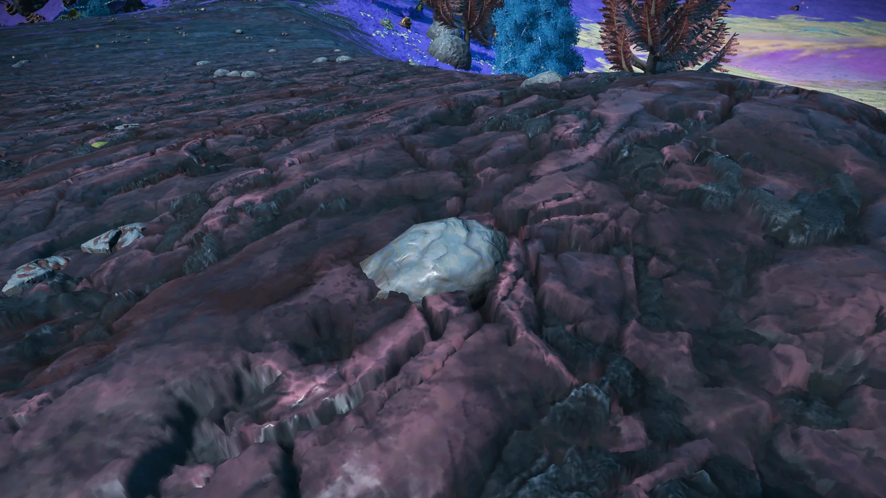 Rimseite in situ at Serene Basin