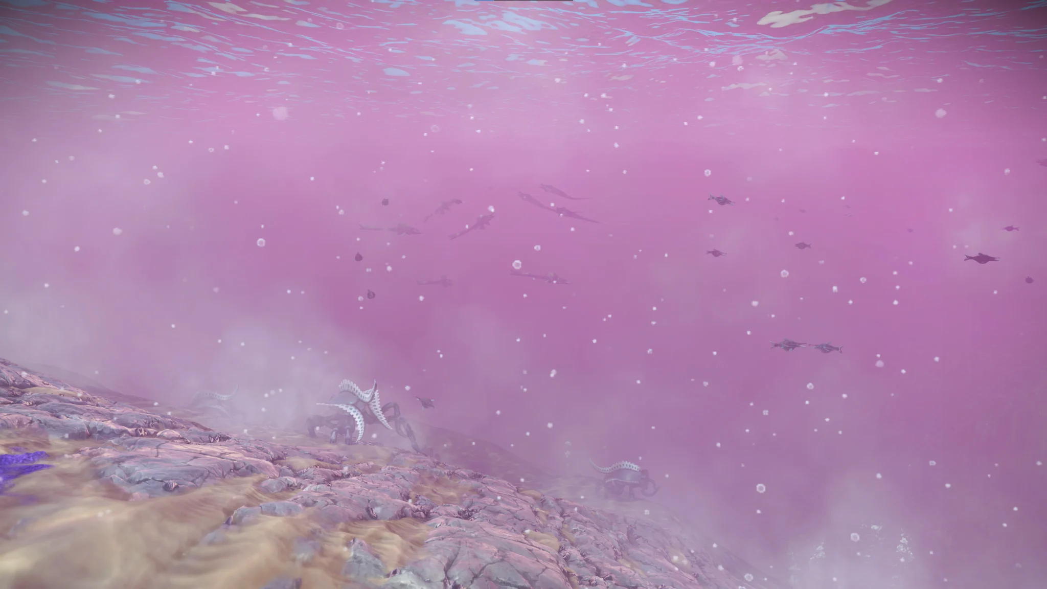 Shallow-water marine overview of Pink Shoals