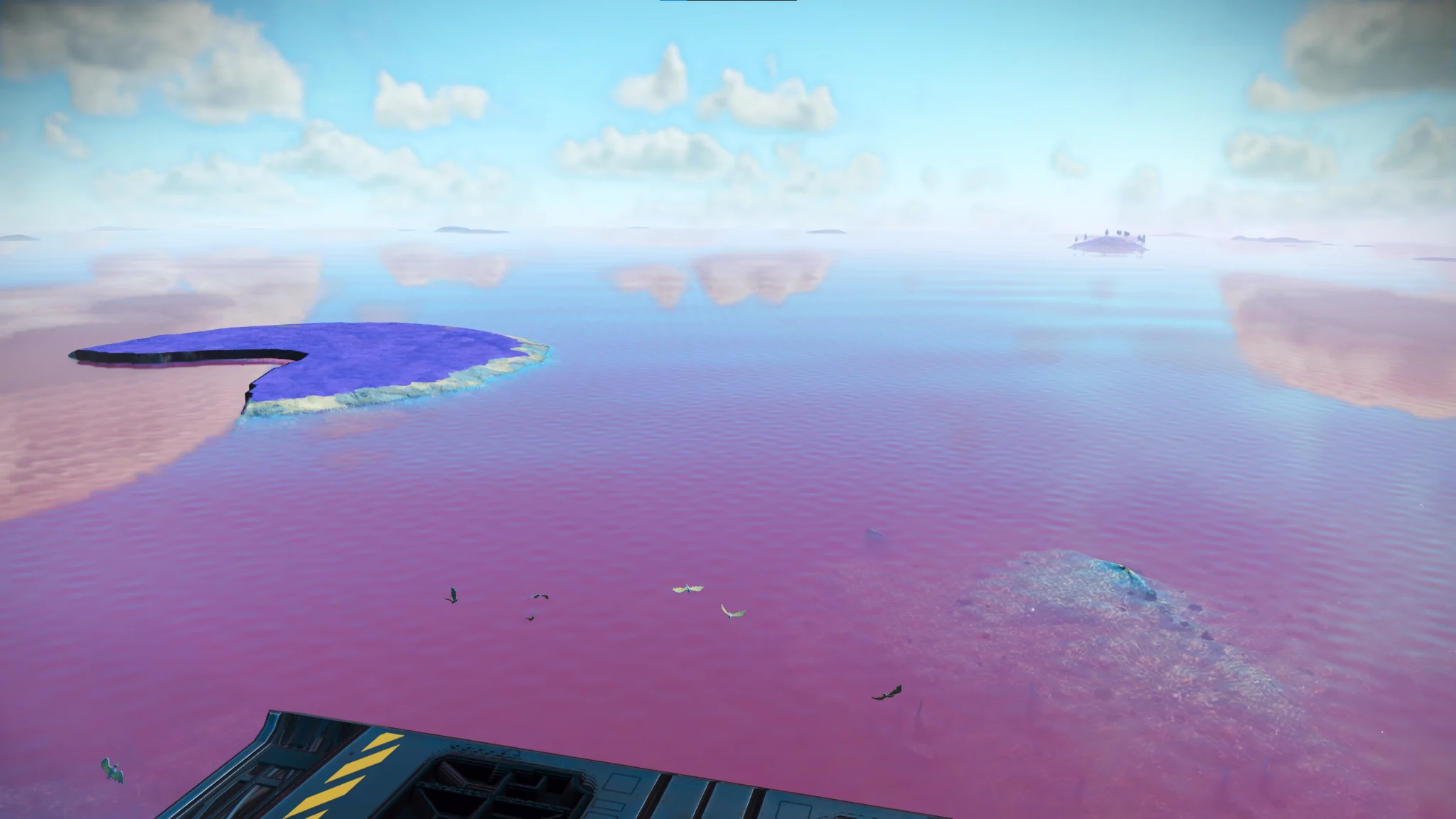 High-altitude reconnaissance view of Pink Shoals