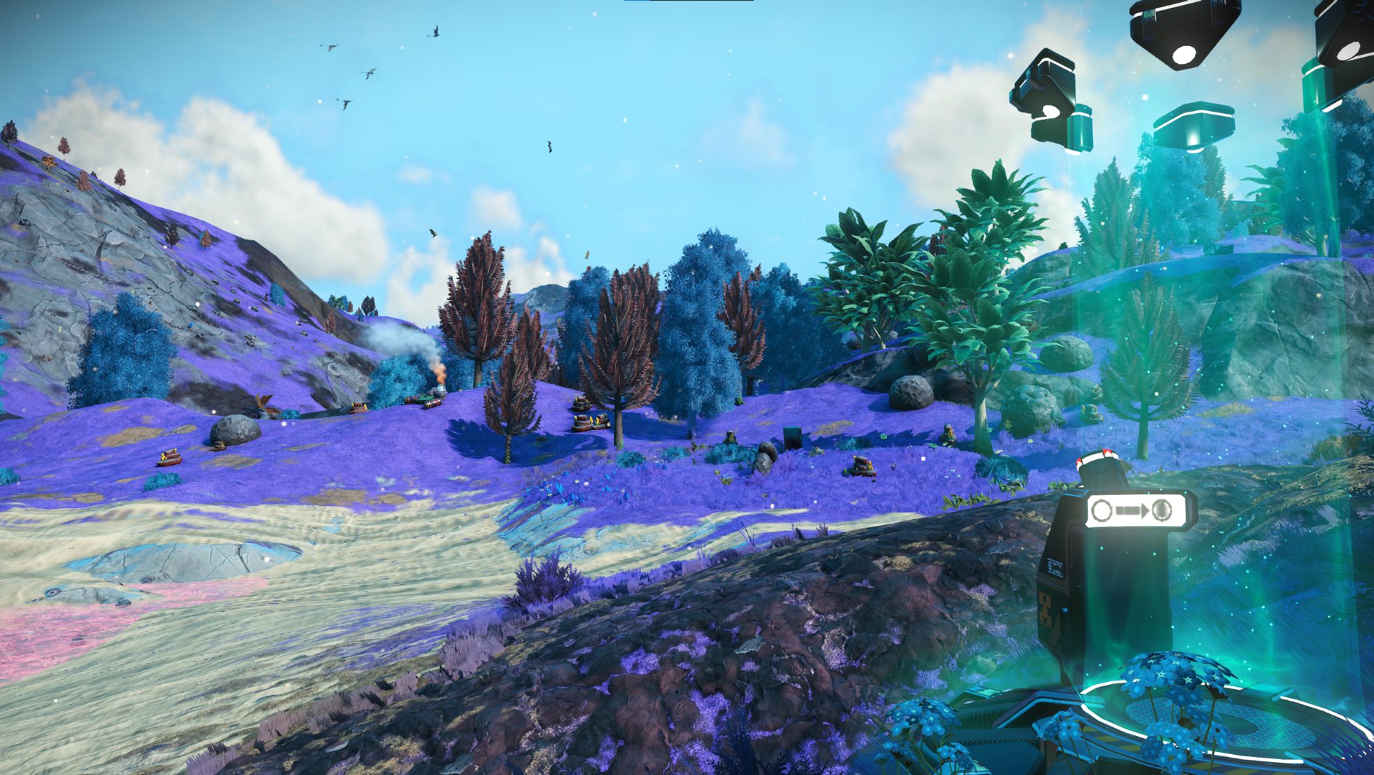Serene Basin landing zone and surrounding vegetation